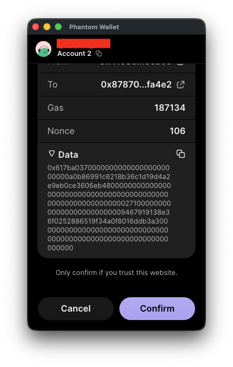 Phantom transaction details with raw calldata